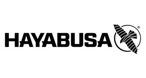 Hayabusa