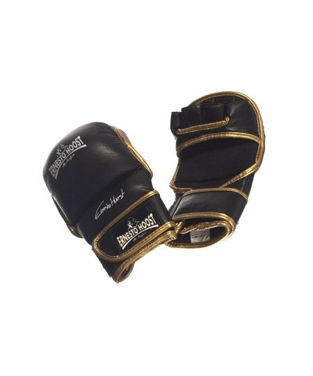 Ernesto Hoost Striker Gloves 