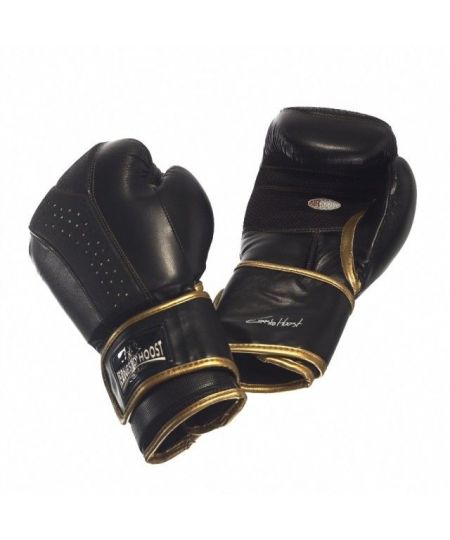Ernesto Hoost Ultimate Boxing Gloves