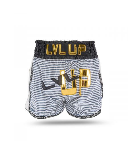 Level Up Flash 1 Boksbroekje